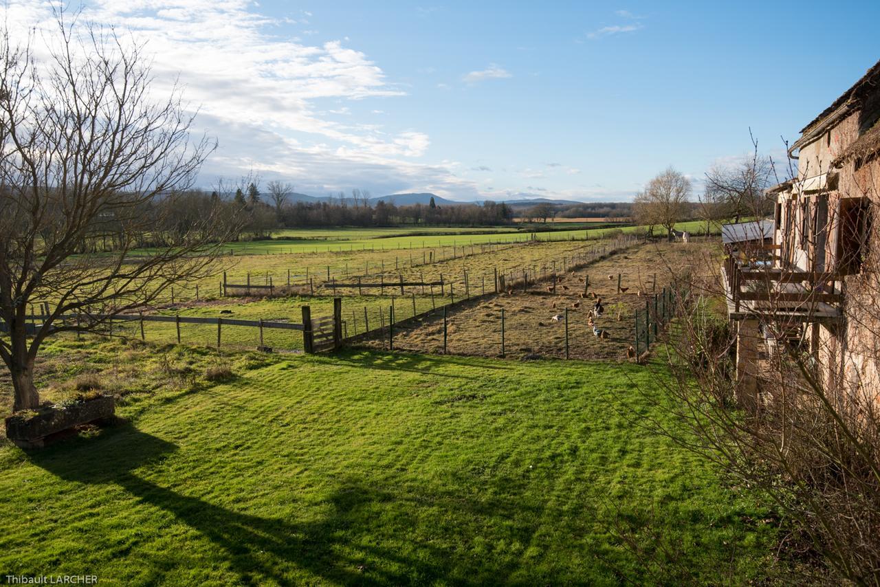 Ferme De Malo Bed & Breakfast Etrigny Exterior photo